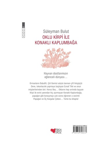 Oklu Kirpi Ile Konaklı Kaplumbağa (551518589)