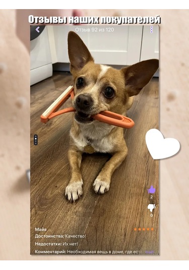 Home Crımea Kıyafet Ve Hayvanlar İçin Fırça. Tüy Ve Kıl Fırçası. 231212707 Mavi