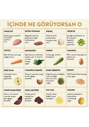 Kito Fresh Hindi Etli Taze Yetişkin Köpek Yemeği 6 x 250 G
