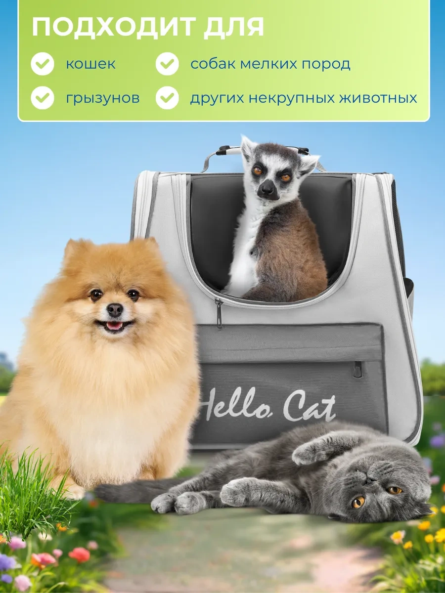 Pets&p Kedi Ve Köpekler İçin Taşıma Sırt Çantası 397323546