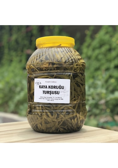 Silifke Sepeti Kaya Koruğu Turşusu 5 KG