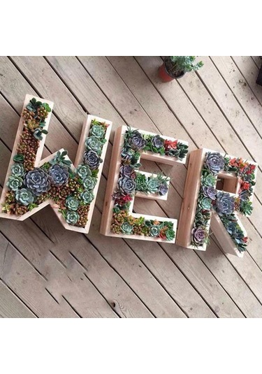 Suntek Alfabe Demir Tel Çelenk Çerçeve Etli Saksı Metal Y