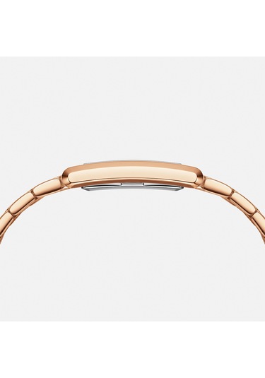 Daniel Wellington Dw00600704 Kadın Kol Saati Diğer