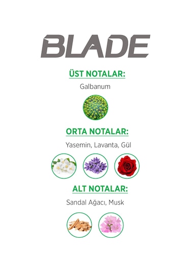 Blade Green Dream Erkek Parfüm EDT 70 ML + Green Dream Erkek Sprey Deodorant 3 x 150 ML