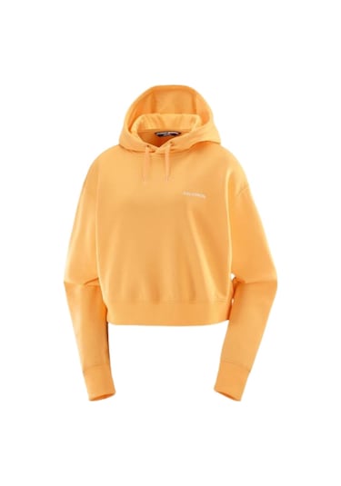 Salomon Salomon Logo Short Hd W 55118 Çok Renkli
