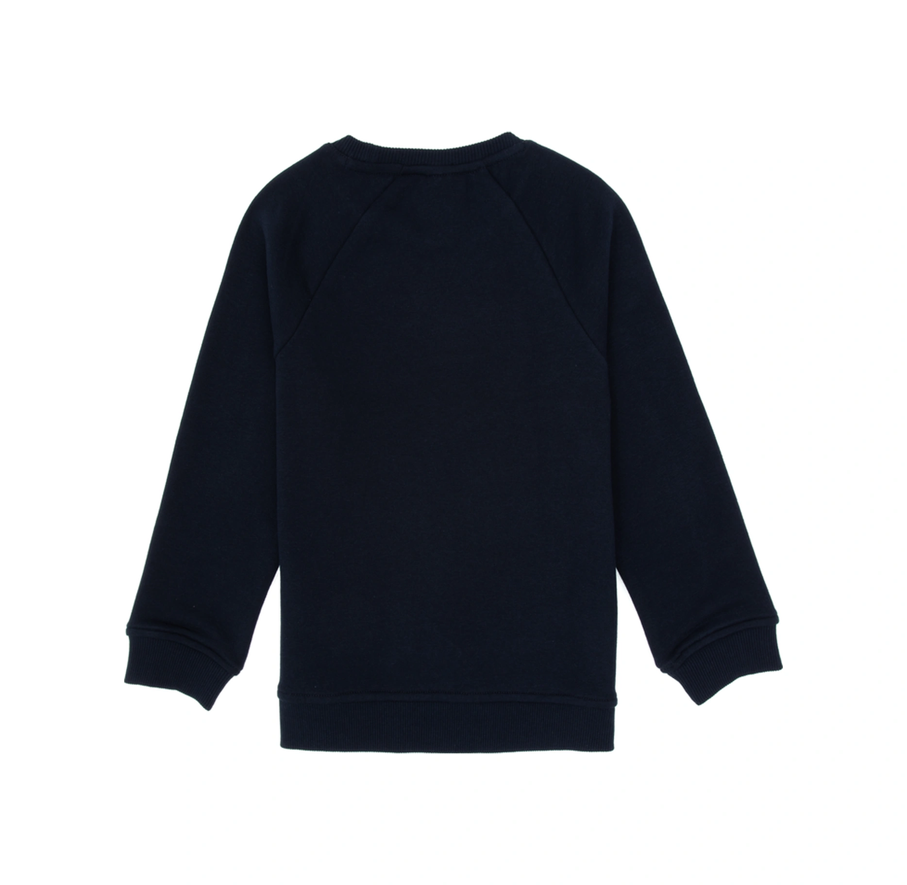 U.s. Polo Assn. Erkek Çocuk Lacivert Sweatshirt 50316601-vr033 Lacivert