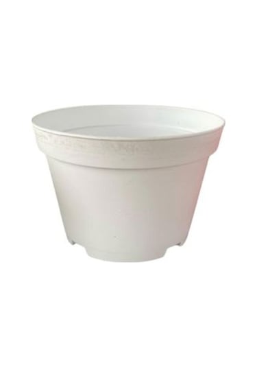 Katı Plastik Sukulent Saksısı 5 Adet Beyaz 8.5 Cm