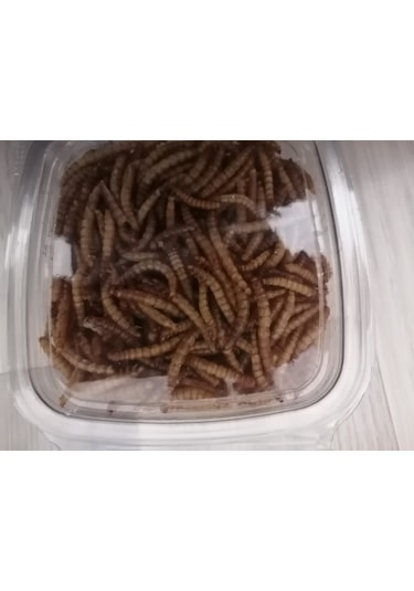 Kurutulmuş Un Kurdu 50 Gram