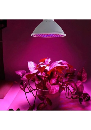 Mufunye Gu10 Tabanlı 80 Led'li Su Üstü Bitki Büyüme Işığı, Kırmızı-mavi Tam Spektrum, 50.000 Saat Ömür, 7w Enerji Verimli Beyaz