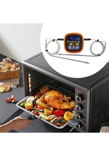 Pazly Termometresi Kanallı Homyl Dijital Çift Barbekü Aksesuarı Co