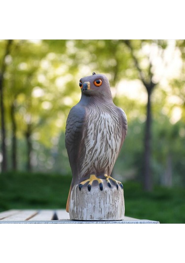 Homyl Kartal Heykeli Plastik Raf Kitaplık Masaüstü Heykelcik Orta