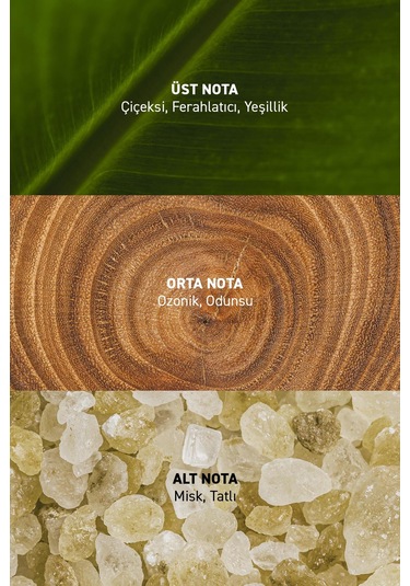 Alix Avien Reve Kadın Parfüm EDP 45 ML