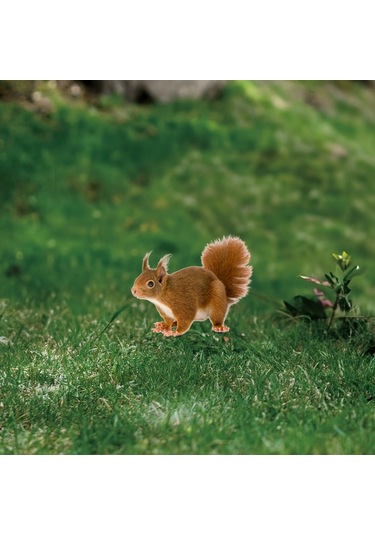 Büyüleyici Sincap Yığını