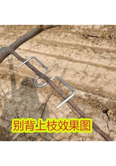 Maiyame M Tipi Meyve Ağacı Dal Açıcı 13 Cm - Dal Eğme, Açı Ayarı Ve Büyüme Geliştirme Aleti 1 Kilo 20 Adet