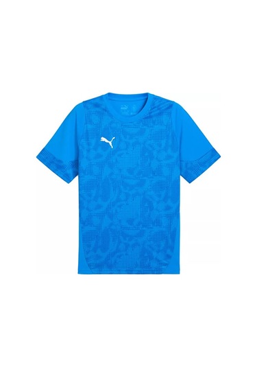 Puma Teamcup Traınıng Jersey Erkek Futbol Tişörtü 65916702 Mavi
