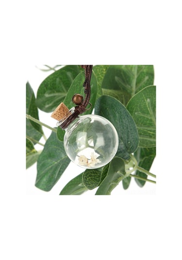 Springsun Araba, Ev Ve Tekne İçin Asılabilir Cam Kavanozlu Koku Flakonları - Kendi Parfümünü Ekleyebilir, Kuru Çiçekli Dekoratif Aromalı Aksesuarlar 2.8