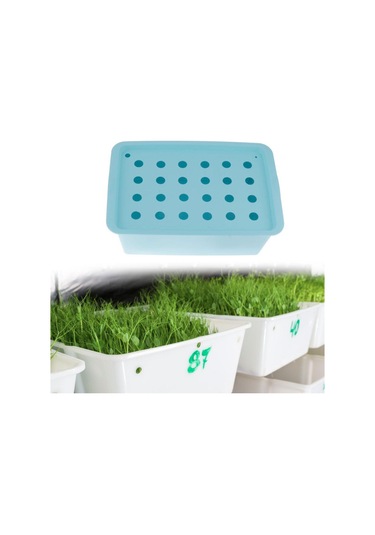 Suntek Parterre Bahçe Marul Mavisi Için 24 Site Fidanlık Mavi