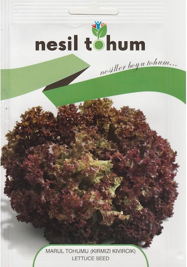 NesilMarul Tohumu Kırmızı Kıvırcık 3 GR