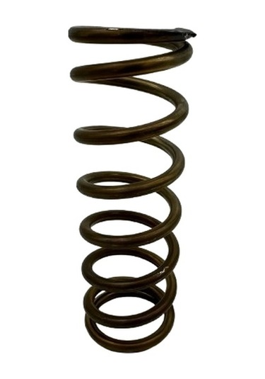 Transpalet Pompa Yayı Krom Paslanmaz