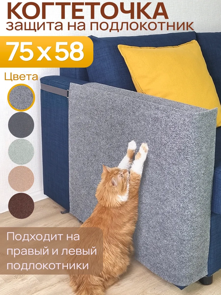 Aseliadia Kedi Kola Sopa Yıkama Aparatı 75x58 247303414