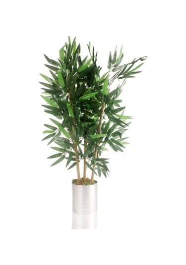 80 Cm Metal Saksı Da Islak Doku 3 Adet Bambu Yeşil