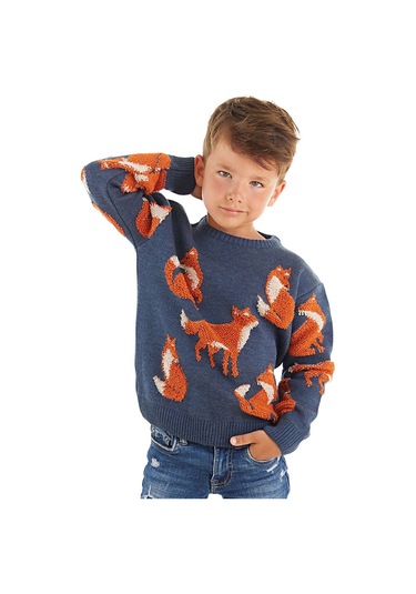 Denokids Mshb&g Tilki Erkek Çocuk Lacivert Triko Kazak Çok Renkli