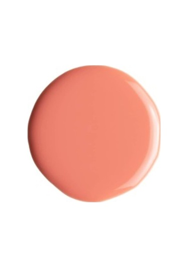 Alix Avien Yavruağzı Oje 10 Yüksek Pigmentli Uzun Süreli Kalıcılık Hızlı Kuruma Nail Lacquer 10