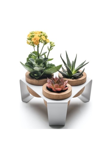 Halohope Metal Stantlı 3'lü Skulent Saksısı Beyaz Saksılık