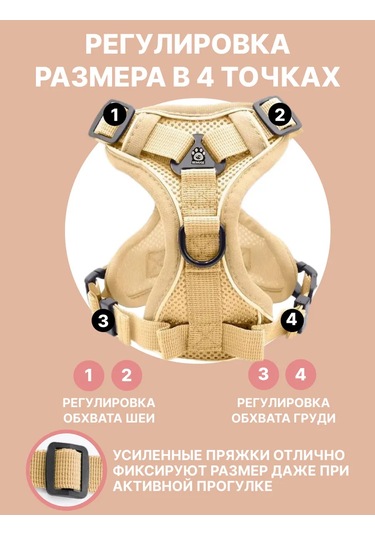 Tori Küçük Ve Orta Irklar İçin Tasmalı Köpek Kayışı Ve Kedi Şeridi 481285191