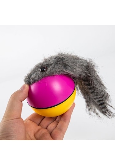 Hareketli Rakun Kedi Köpek Oyuncak Tdrtr Çok Renkli