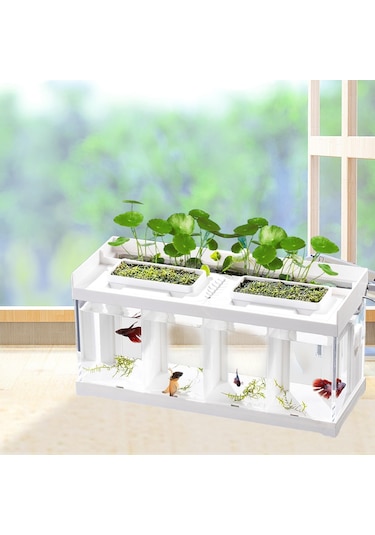 Magideal Suntek Balık Kase Bölünmüş Kuluçka Akvaryum Tankı Bahçe