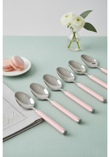 6 Lı Paslanmaz Çelik Tatlı Kaşığı Seti Somon Pembe Saplı 15 Cm Pembe