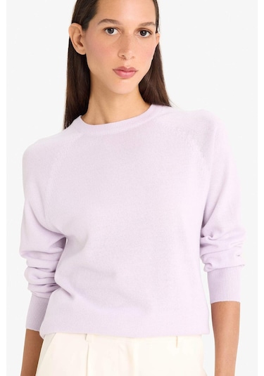 Defacto Relax Fit Bisiklet Yaka Basic Düz Triko Kazak I6913az25wnpr462 Mor