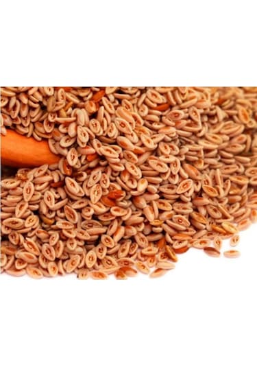Sanita Karnıyarık Tohumu 250 GR