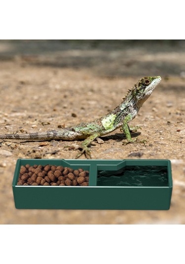 Homyl Besleme Kabı Su Tabağı Amfibi Aksesuarları Çok