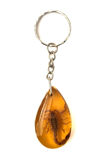 Üçgen Tasarım Akrep Fosilli Anahtarlık