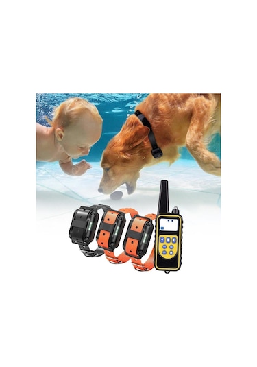 Sellwell Kesoto Köpek Eğitim Şok Yaka 875 Yards Lcd Uzaktan Kumanda