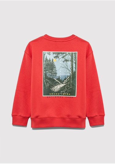 Mavi - Nature Roams On Baskılı Turuncu Sweatshirt 6s10148-71079 Turuncu