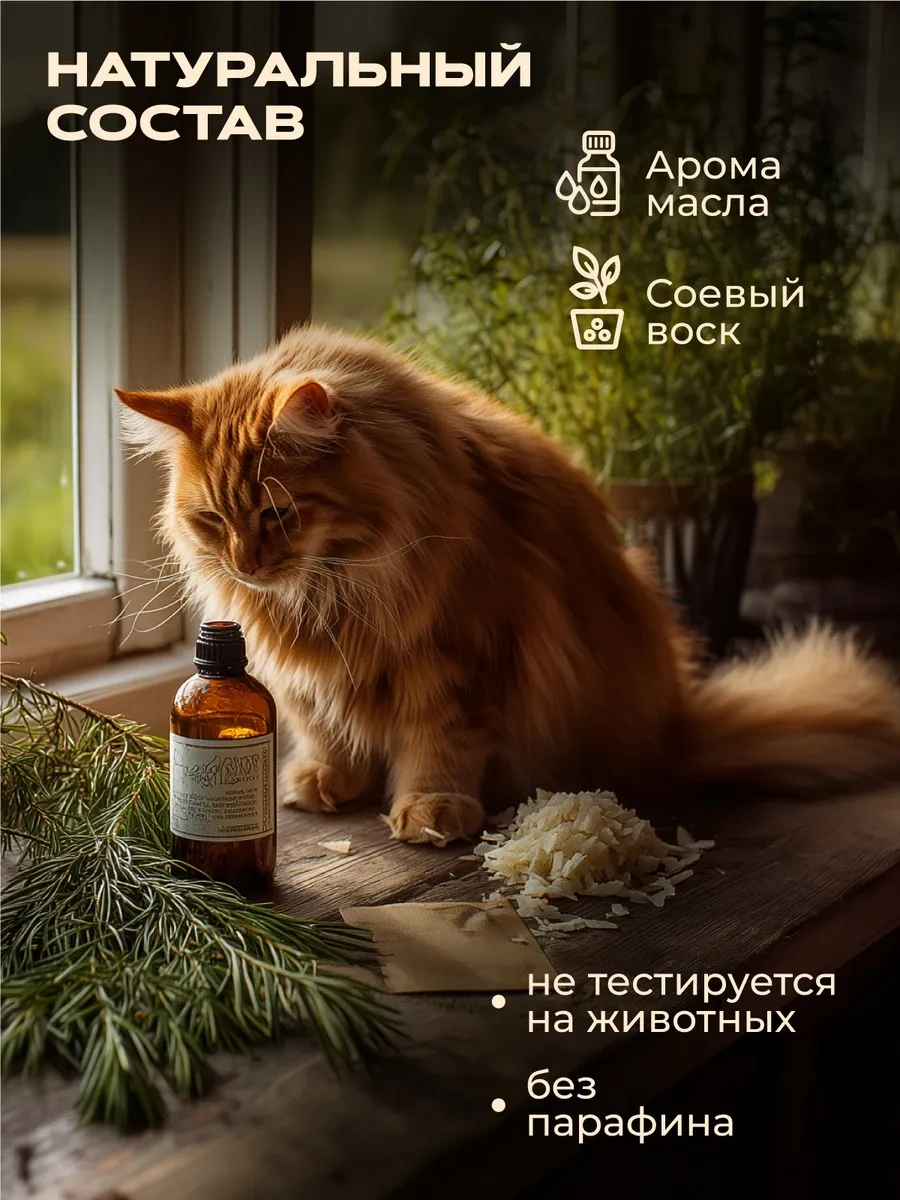 Langiza Cam Kavanozda Ahşap Fitilli Aromatik Mumlar 260810241 Beyaz