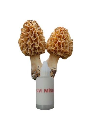 Kuzu Göbeği Mantarı Sıvı Miseli Mantar Miseli Tohumu 30cc