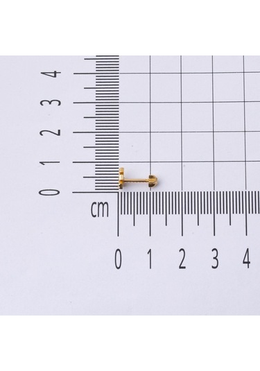Bilezikci  14 Ayar Altın Tragus Piercing Küpe Kphsy14k22506