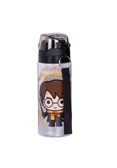 Harry Potter 500 Ml Matara-2869
