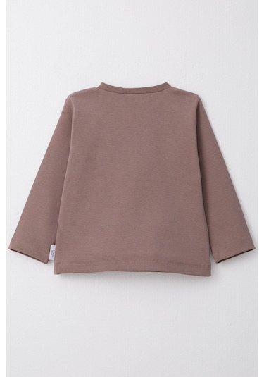 Breeze Erkek Çocuk Uzun Kollu Tişört Basic 1-4 Yaş, Vizon-vizon Vizon