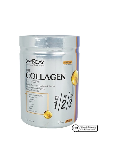 Day2day The Collagen All Body Toz 3 x 300 G