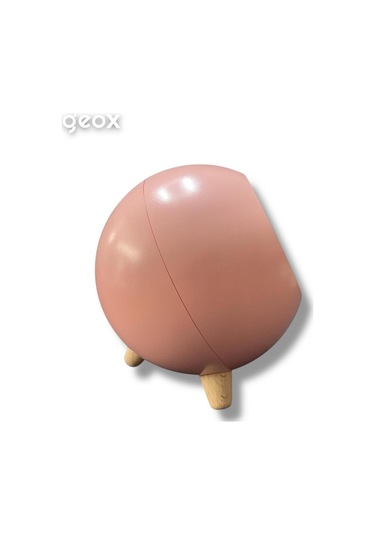 Geox Little Pet House Masa Lambası, Gece Lambası, Abajur