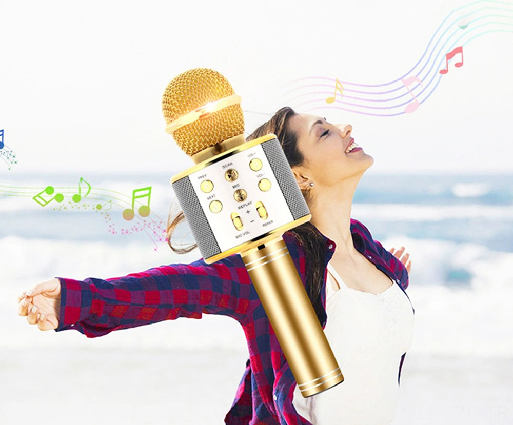 Yuntech01 Altın Bt Kablosuz Mikrofon Ve Hoparlör Combo, Üç Katmanlı Gürültü Azaltma, Tf Kart Desteği, Çoklu Cihazla Uyumlu, Profesyonel Karaoke Deneyimi