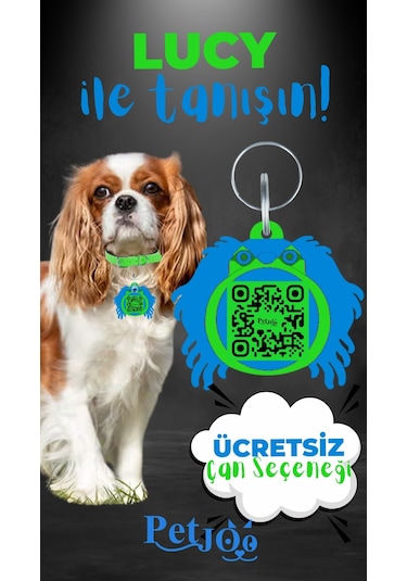 Petjoo 11.Lucy Mavi-Yeşil Qr'lı Köpek Künyesi
