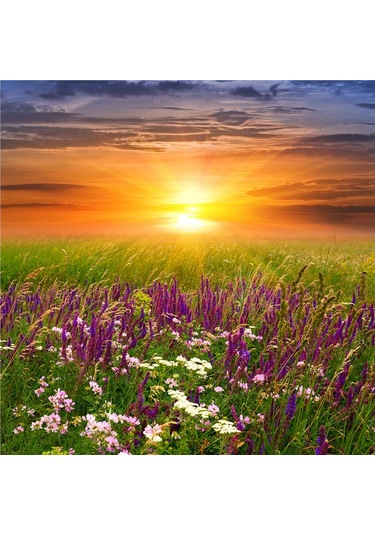 Bahar Çiçekleri Doğal Taş Bardak Altlığı 4'lü Set - Natural Stone Coasters - Taş Çok Renkli