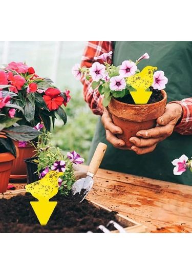 Jeehugo 24 Adet Sarı Bitki Haşere Tutucu: Sinek, Gnats, Aphid İçin Yapay Zemin Yaprakçıktı, Güneş Çiçeği, Kuş, Köpek Şeklinde Yapıştırıcı Tuzaklar