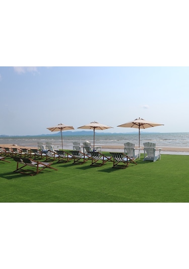 Seaside Mix Yazlıklar için Çim Tohumu Karışımı 1 kg